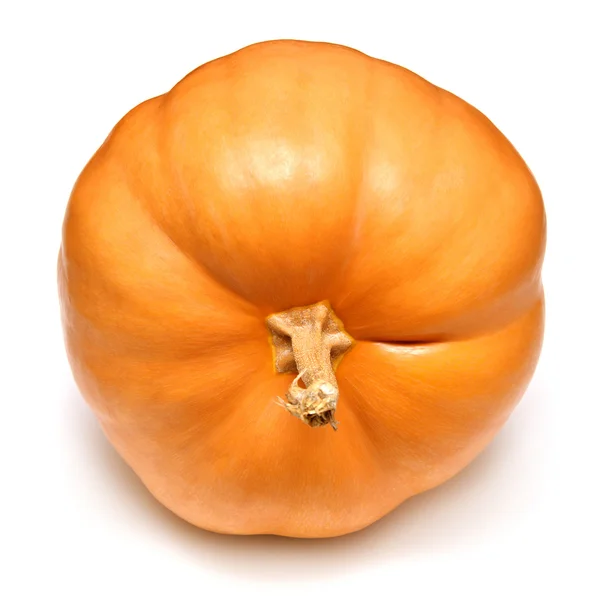 Orange pumpa — Stockfoto