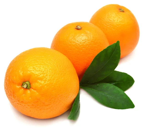 Frutas de naranja dulce con hojas — Foto de Stock