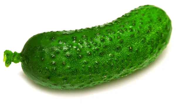 Ripe cucumber — Stock Photo, Image