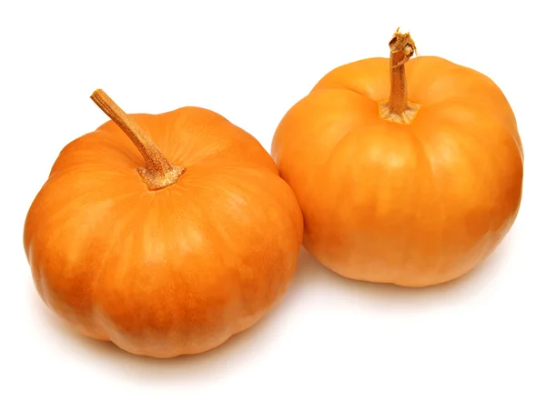 Two pumpkins — Stock Photo, Image