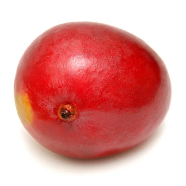 Mangofrucht — Stockfoto