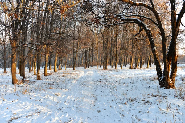 Paisaje invierno —  Fotos de Stock