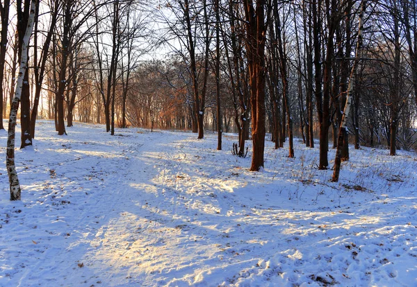 Paisaje invierno —  Fotos de Stock