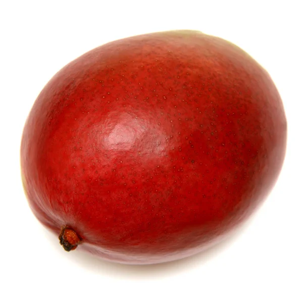 Mangofrucht — Stockfoto