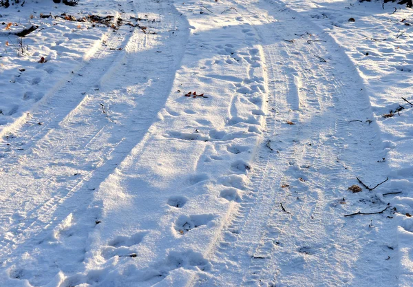 Tire tracks — Stock Photo, Image