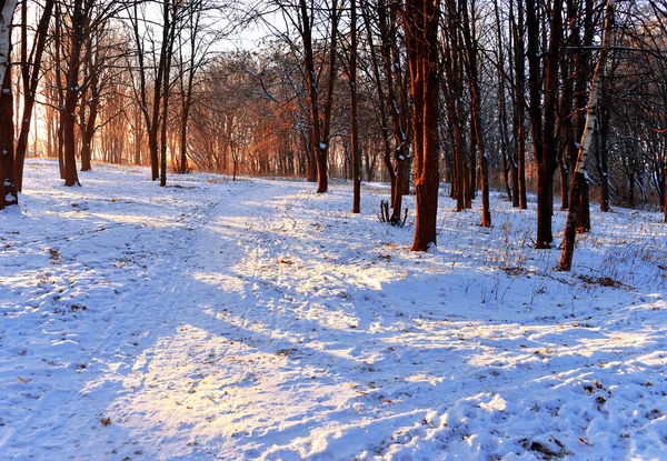 Paisaje invierno —  Fotos de Stock