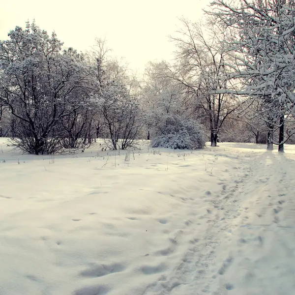 Paesaggio invernale — Foto Stock