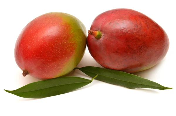 Two mango with leaf — Stock Photo, Image