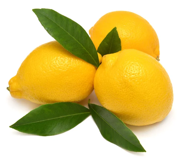 Lemon with leaves — Stock Photo, Image