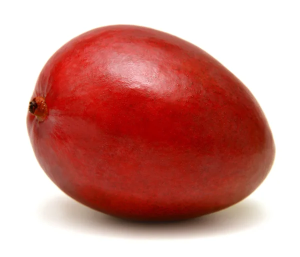 Mango vruchten geïsoleerd — Stockfoto