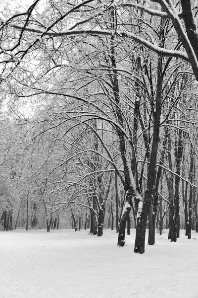 Bewolkte winterdag — Stockfoto