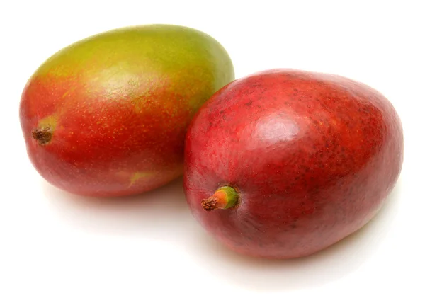 分離された 2 つのマンゴー — ストック写真