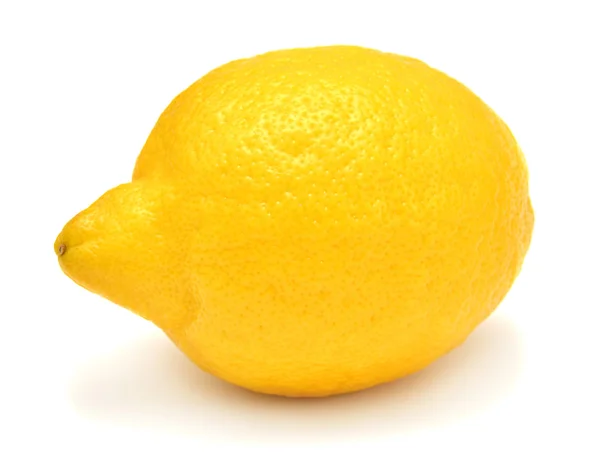 One Lemon isolated — Stock Photo, Image