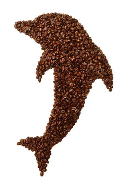 Delfin ziaren kawy — Zdjęcie stockowe