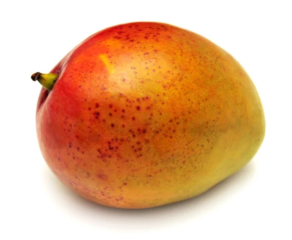 Ripe Mango fruit — Stock Photo, Image