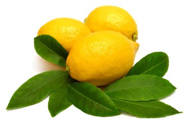 Limon meyve yaprakları ile