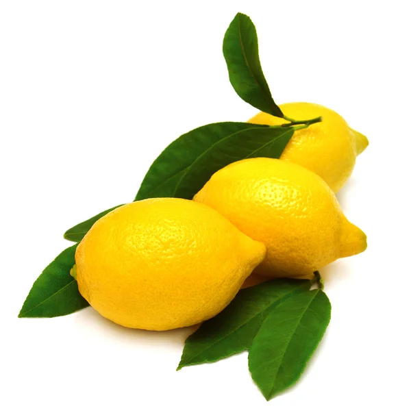 Lemon fruits with leaves — Stock Photo, Image