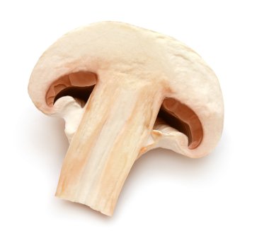 Taze olgun champignon