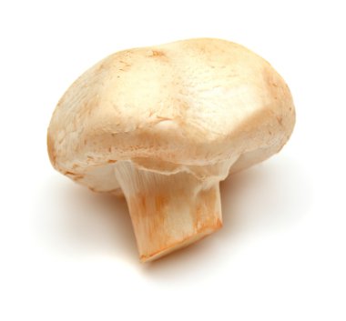 Taze olgun champignon