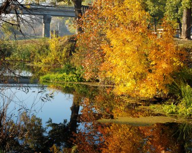 güzel sonbahar park.