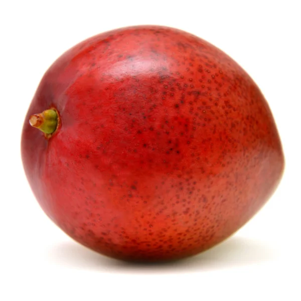Νωπά φρούτα μάνγκο — Φωτογραφία Αρχείου