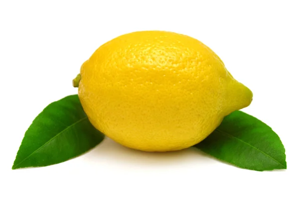 Ripe lemon with leaves — Stock Photo, Image