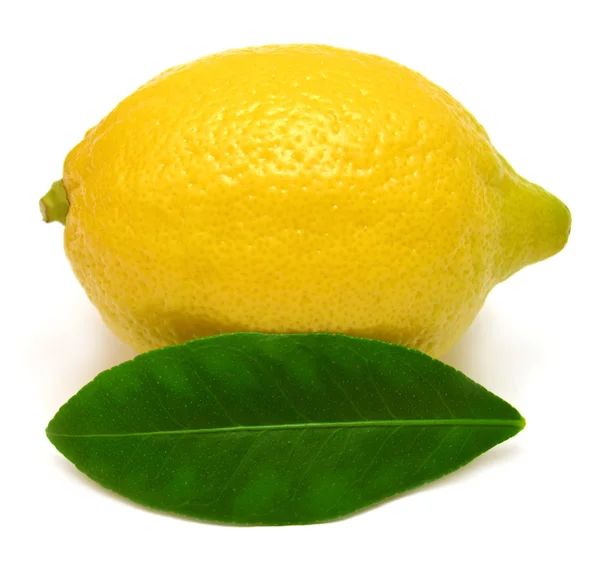 Ripe lemon with leaves — Stock Photo, Image