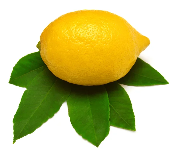 Ripe lemon with leaves — Stock Photo, Image