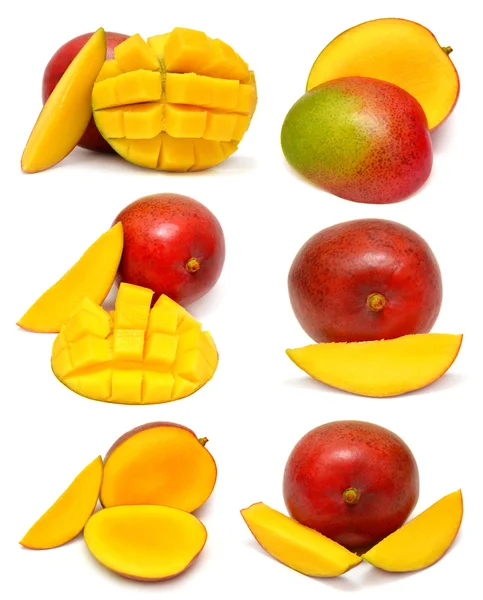 Collectie van mango fruit — Stockfoto