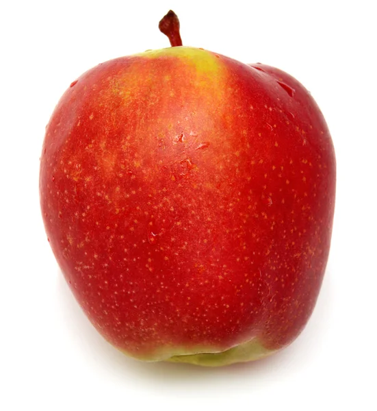 Rode rijpe appel — Stockfoto