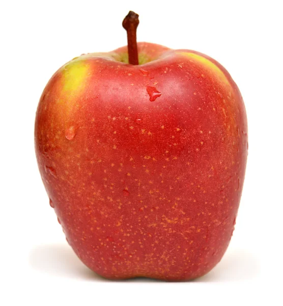 Red ripe apple — Stock Photo, Image