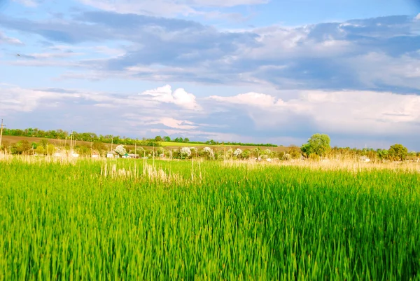 Сельский пейзаж Украины — стоковое фото