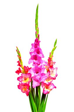 Buket Glayöl çiçek