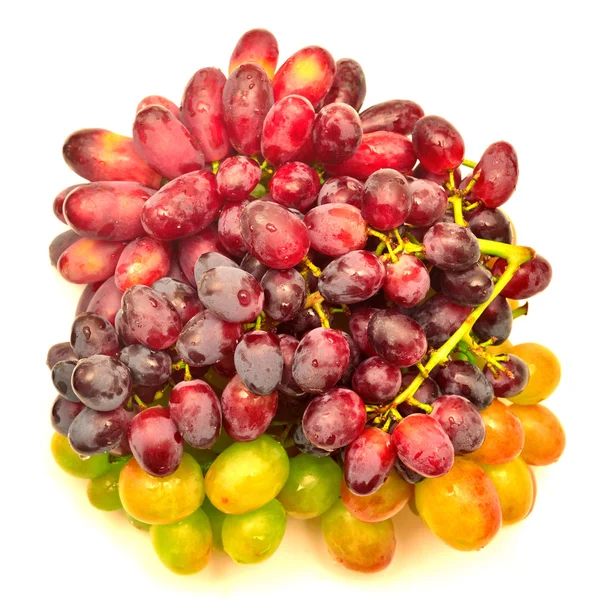 Branches de raisins mûrs — Photo