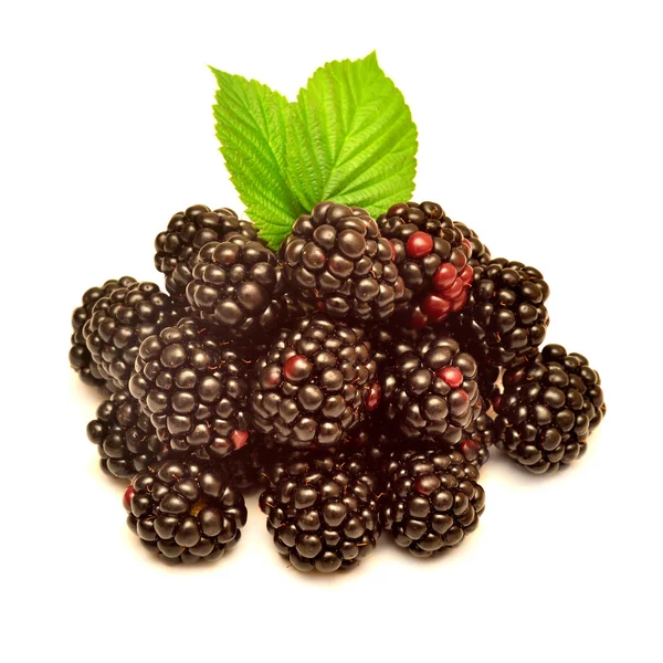 Verano maduro moras — Foto de Stock