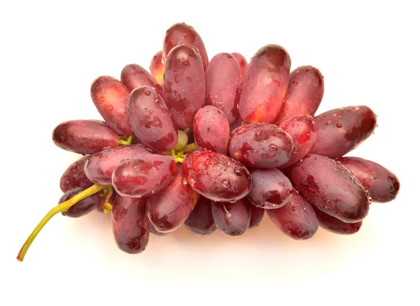 Branche de raisins mûrs — Photo