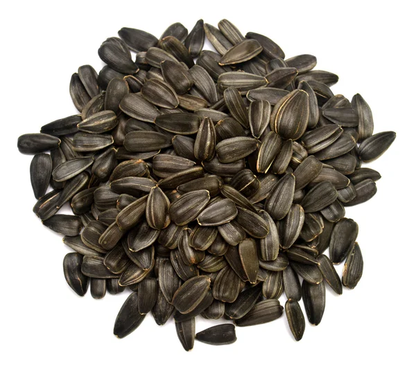 ayçiçeği tohumu izole