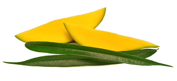 Skivad mango med blad — Stockfoto