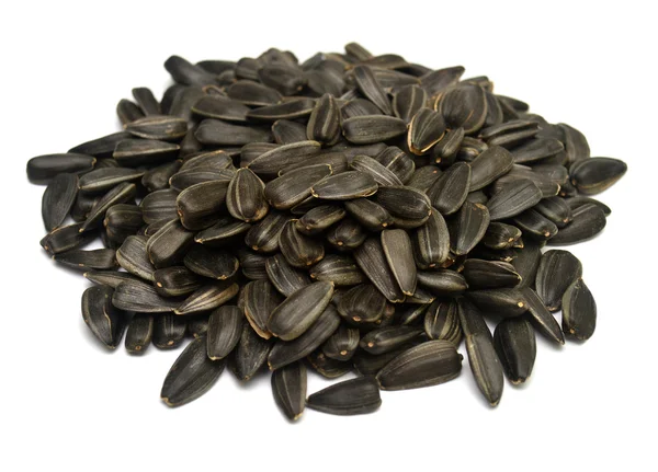Slunečnicová semena, samostatný — Stock fotografie