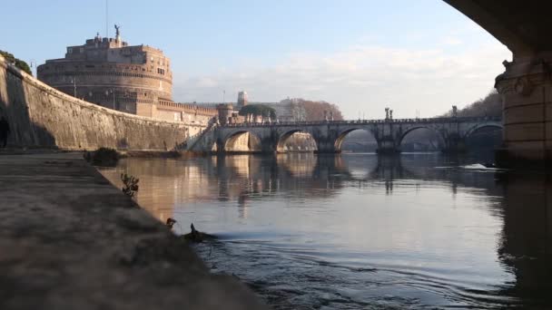 Roma City Morning View, Italia . — Video Stock