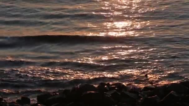 Morgon skiner havet bevattna ytbehandlar. — Stockvideo