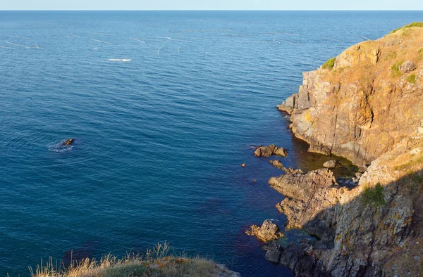 夏の海の岩の海岸. — ストック写真