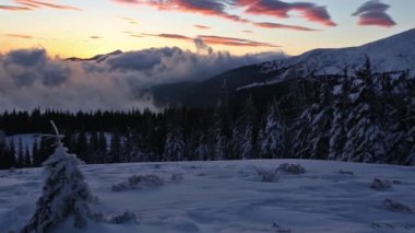 Sunrise kış Karpat Dağları ve kar yağışı.