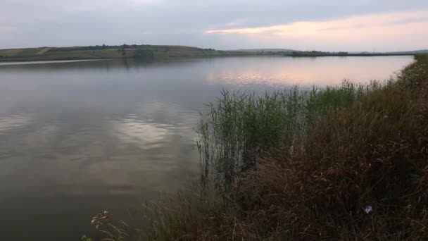 Wieczorem jezioro lato pejzaż. — Wideo stockowe