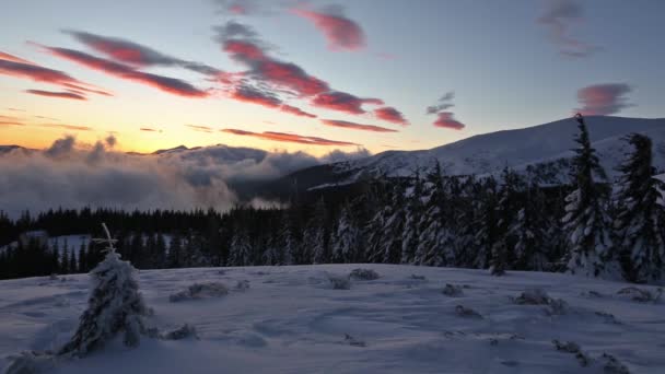 Zonsopgang in de Winter Karpaten en sneeuwval. — Stockvideo