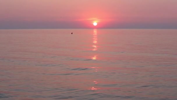 Nap egyre több mint a horizont és a tenger rózsaszín. — Stock videók