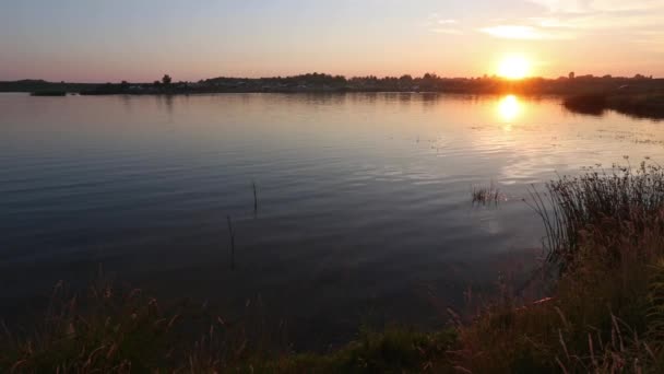 Zonsondergang Lake zomer landschap. — Stockvideo