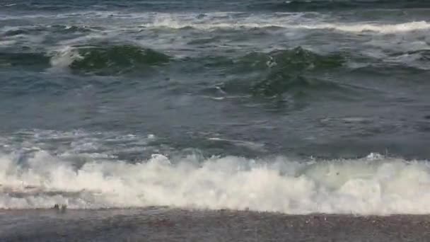 Surf dalgalar deniz. Arka plan. — Stok video