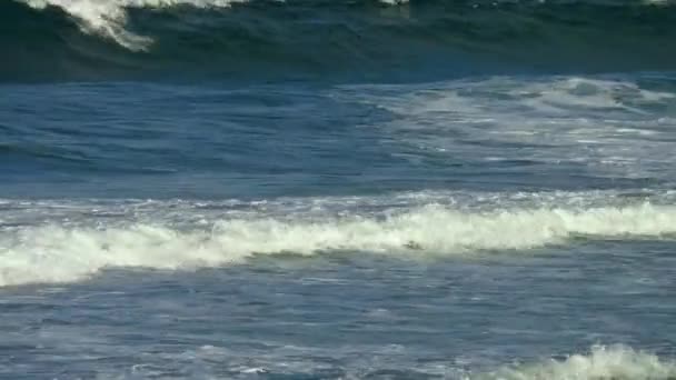 바다 서핑 파도. — 비디오
