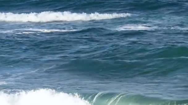 De golven van de zee met schuim en rode boei. Achtergrond. — Stockvideo